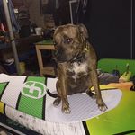Sam Agnew-Jones - @sambosup - Instagram