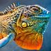 Samuel Aiton - Facebook