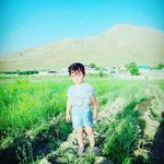 sam.ajami - @borzoo.ajami9 - Instagram
