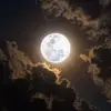 Sami__ajami - @sami__ajami - TikTok