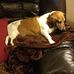 Sam Alford - Facebook