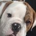 Sam Ambrose - Facebook