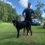 Sam Ames Bennett - @samwwise - Instagram