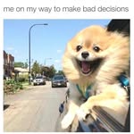 Sam Houston Appling - @samhoustonappling - Instagram
