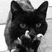 Samantha Argento - Facebook