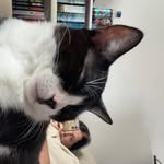 Sam Atkinson - @samstergangster - Instagram