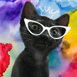 🐈‍⬛ - @samba_arts - Instagram