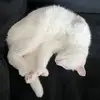 sam - @sam.baker12321 - TikTok