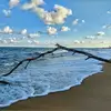 sam barani - @sambarani1234 - TikTok