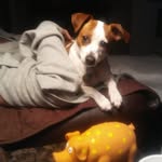 Sam Barstow - @barstow.sam - Instagram