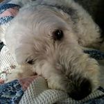 Sam Bauman - @bauman_sam - Instagram