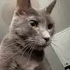 Sam Bauman - @porg7672 - TikTok