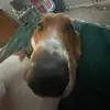 Sam Baumann - @sammybaumann - TikTok