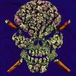 @sambenally420_ - Instagram