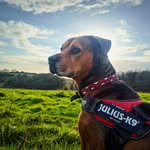 Sam Bentley - @lolaaabagggins1st - Instagram