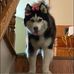 Sam Berg - Facebook