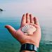 Sam Berg - Facebook