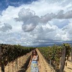 Sam Spillane Berg - @sam_berg1104 - Instagram