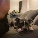 Sam Bernhardt - @blazedup954 - Instagram