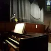 Samuele Biondo - @samubiondo - TikTok