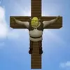 Sam Bird - @tw33ty_bird346 - TikTok