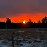 Bissell Farms - @sambissell05 - Instagram