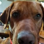 Sam Bissell - @axxe56708 - Instagram