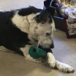 Sam Bissell - @le_sam_b_ - Instagram