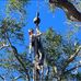 Sam Blanton - Facebook
