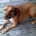 Sam Blanton - Facebook