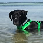 Samuel Michael Blanton - @sam.blanton2 - Instagram