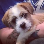 Sam Blevins - @sammiboi__ - Instagram