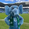 Sky Blue Sam - @ccfcsky.blue.sam - TikTok