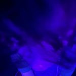 Sam Blumenfeld - @greeneggsandham_meh - Instagram