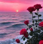 Samia Bouchenak - Facebook
