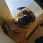 Sam Boll - Facebook