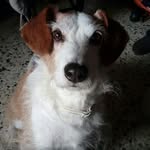 @sam_bollibolli_ - Instagram
