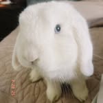 Sam Bond - @_sambond.1 - Instagram