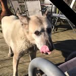 Sam Bonney - @sam.bonney.355 - Instagram