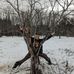 Sam Bonney - Facebook