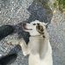 Sam Borden - Facebook