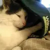 samanthaborland88 - @samanthaborland88 - TikTok