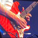 sam & bowie 🎸 - @be.good.bowie - Instagram