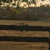 Country boy - @sambowling5 - TikTok