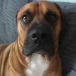 Sam Branch - @sambranch12 - Instagram