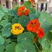 Sam Lena-South Tucson Branch Library - Facebook
