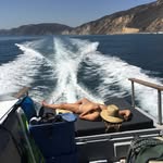 Sam & Brian - @samthesleepingsealion - Instagram