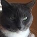Sam Britton - Facebook