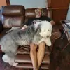 Sam Buckley - @sam.buckley85 - TikTok