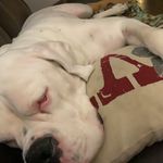 Sam Buckwalter - @sam_b_19 - Instagram